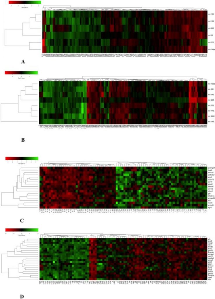 Analysis of Differential Expression of microRNAs and Their Target Genes in Prostate Cancer: A Bioinformatics Study on Microarray Gene Expression Data. 
